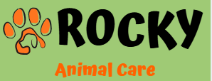 Rocky Friend